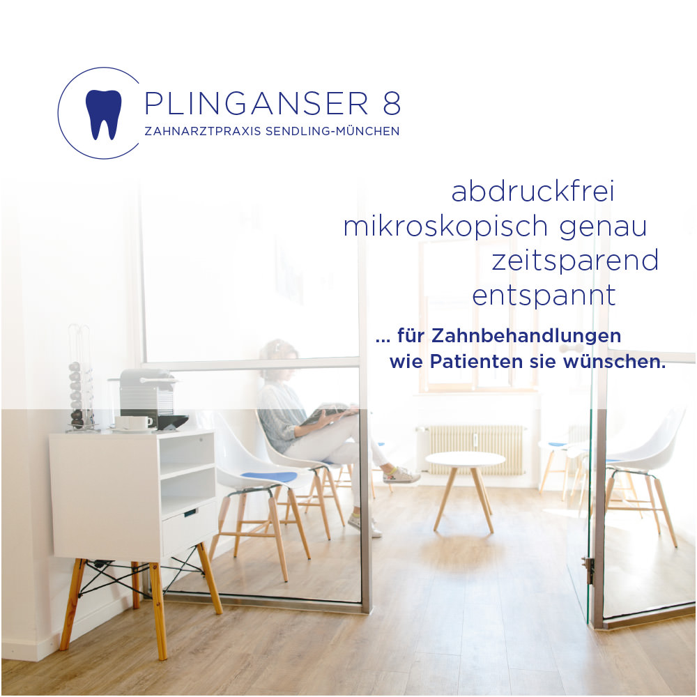 Plinganser 8 München